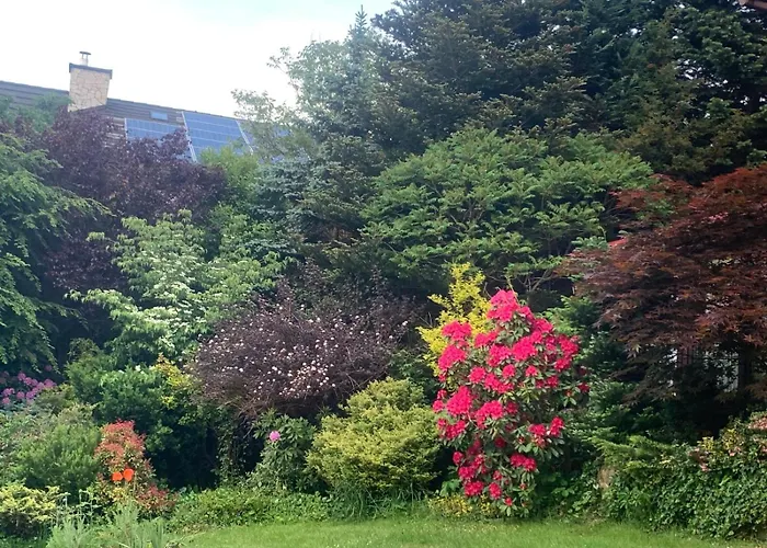 Aniula Tatil Evi Istebna